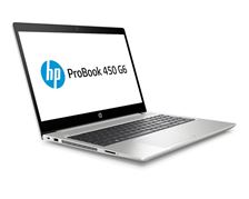 Laptop HP ProBook 450 G6 (5YM80PA)  I5 8265U Ram 8gb/ SSD 120 + 1TB/ Màn 15.6